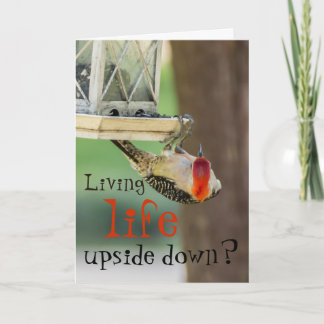 Tarjeta Cita de la vida de la tipografía de la fotografía 