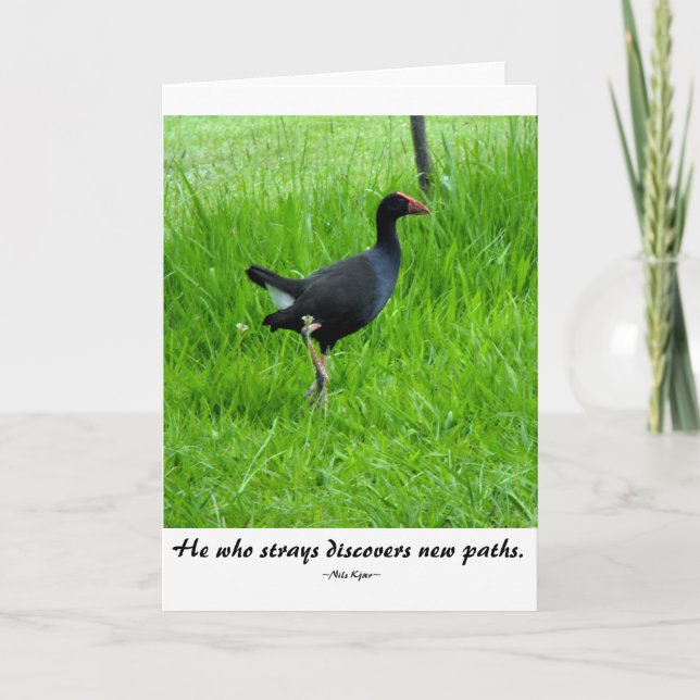 Tarjeta Cita del viaje de Nils Kjær (Anverso)