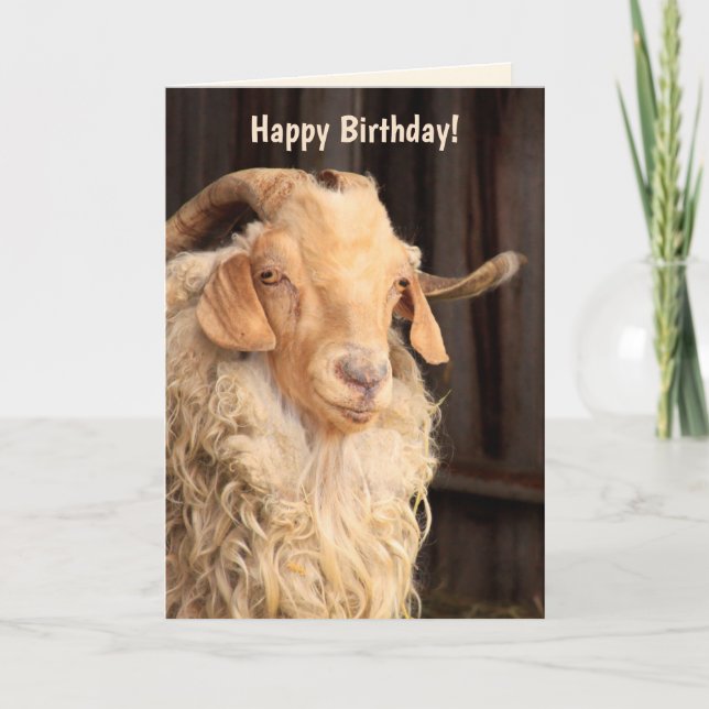 Tarjeta Cita divertida de "Old Goat" Cumpleaños (Anverso)