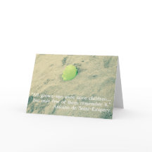 Citas del Principito/Le Petit Prince