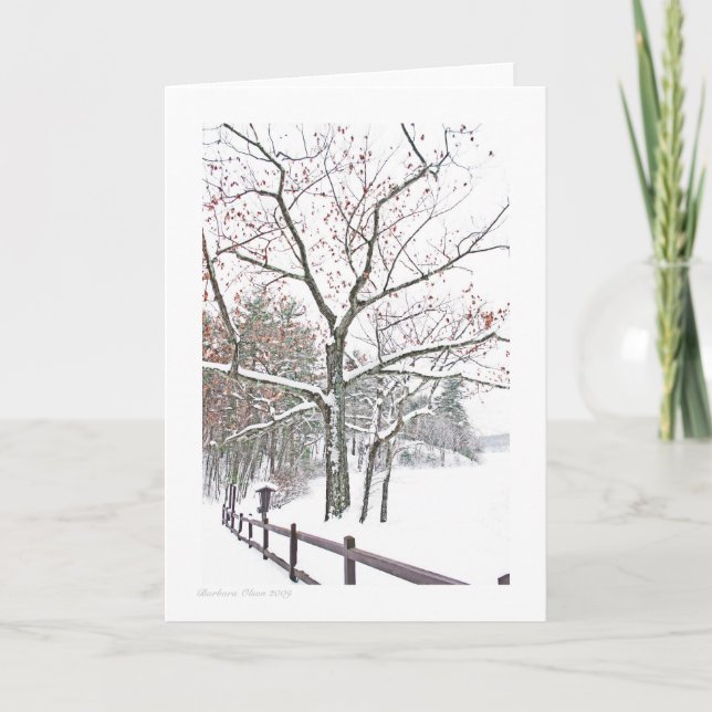 Tarjeta +Citas en naturaleza: Tamaño del saludo (Anverso)