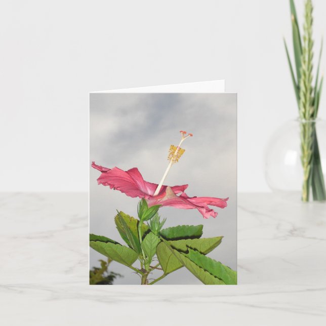 Tarjeta Clarion v2 (Anverso)