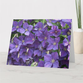 Tarjeta Clematis