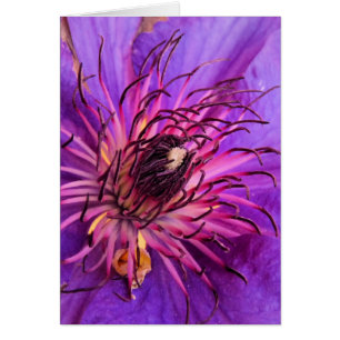 TARJETA CLEMATIS