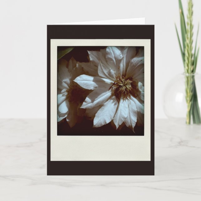 Tarjeta Clematis 1 Condolencias Nota de solidarida (Anverso)