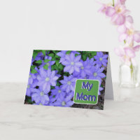 CLEMATIS AZUL/MI MAMÁ/FELIZ DÍA DE LA MADRE