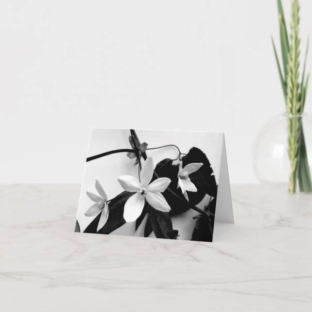 Tarjeta Clematis en Notecard monocromático (Anverso)