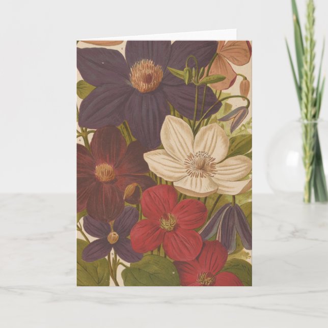 Tarjeta Clematis | George Nicholson (Anverso)