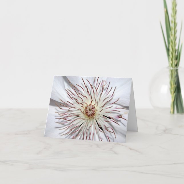 Tarjeta Clematis Notecard (Anverso)