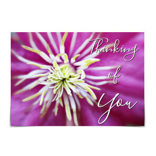 Tarjeta Clematis Pink-Purple
