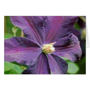Tarjeta Clematis Purple Flower