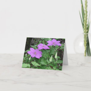 Tarjeta clematis púrpura