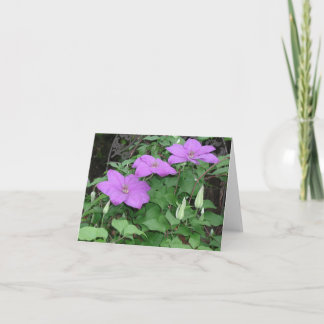 Tarjeta clematis púrpura