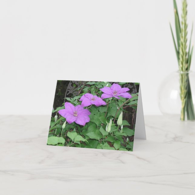 Tarjeta clematis púrpura (Anverso)