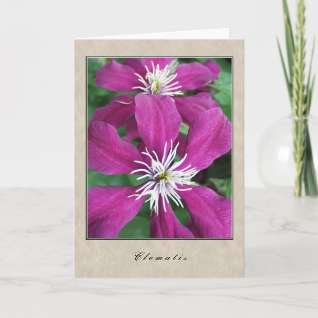 Tarjeta Clematis - serie floral (Anverso)