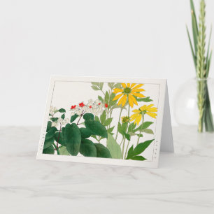 Tarjeta Clerodendrum thomsoniae, Rudbeckia, Tanigami Konan