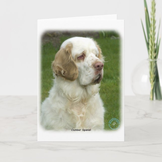 Tarjeta Clumber Spaniel 9Y003D-101 (Anverso)