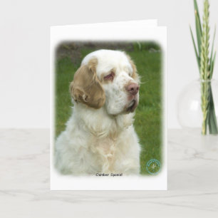 Tarjeta Clumber Spaniel 9Y003D-101