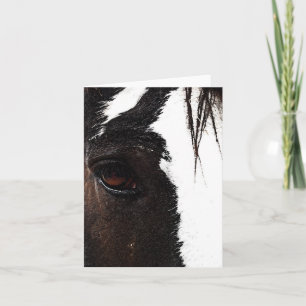 Tarjeta Clydesdale