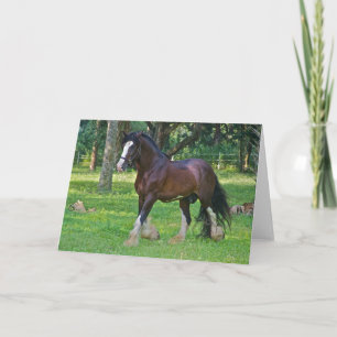 Tarjeta Clydesdale Horse
