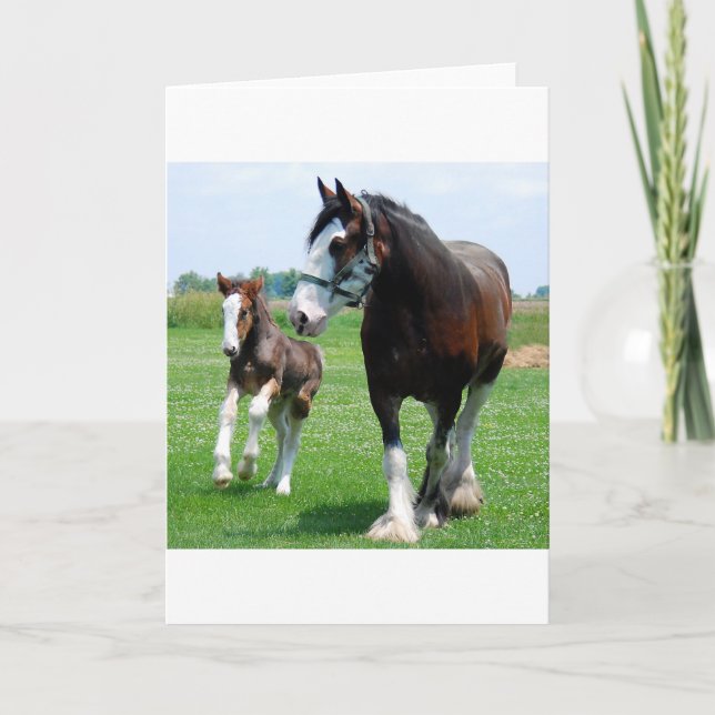 Tarjeta Clydesdale y potra (Anverso)
