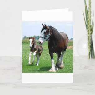 Tarjeta Clydesdale y potra