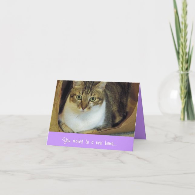 Tarjeta (CN) - Ajuste perfecto (Anverso)