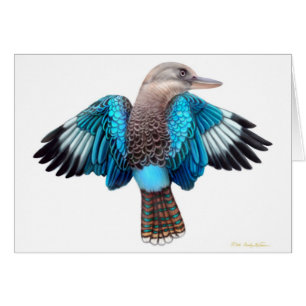 Tarjeta coa alas azul de Kookaburra