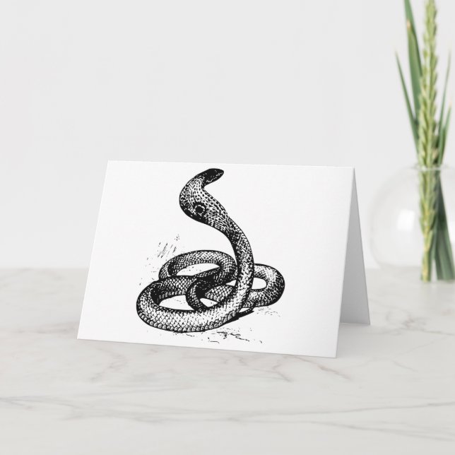 Tarjeta Cobra (Anverso)