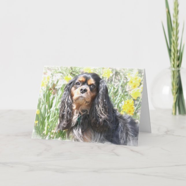 Tarjeta Coche de bienvenida Cavalier King Charles Spaniel  (Anverso)
