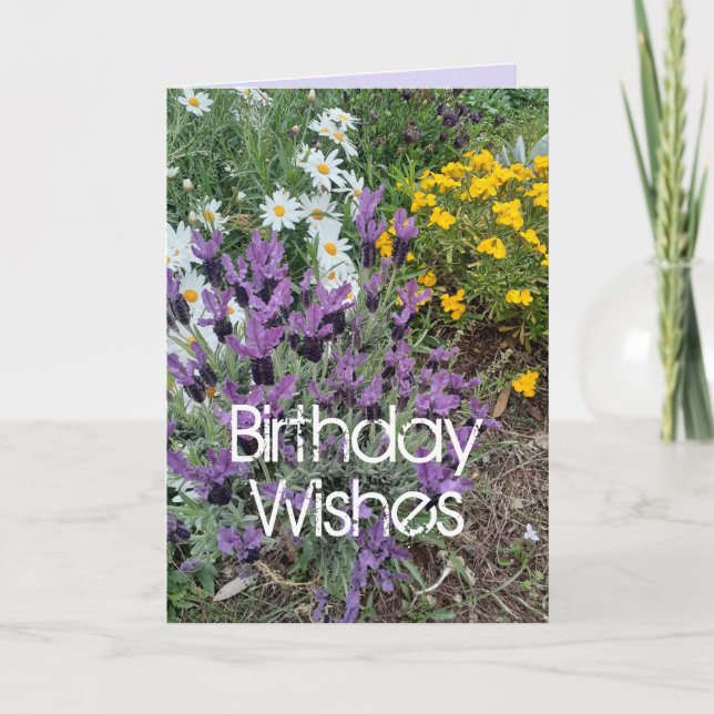 Tarjeta Coche de cumpleaños con flores moradas y margarita (Anverso)