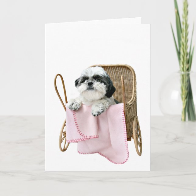 Tarjeta Cochecillo de bebé de Shih Tzu (Anverso)
