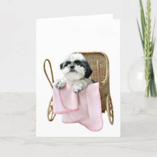 Tarjeta Cochecillo de bebé de Shih Tzu