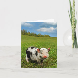 Tarjeta Cochinillo de la primavera