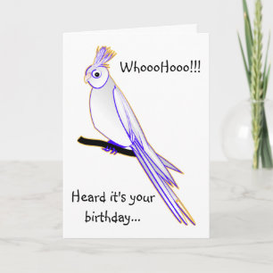 Tarjeta Cockatiel torpe