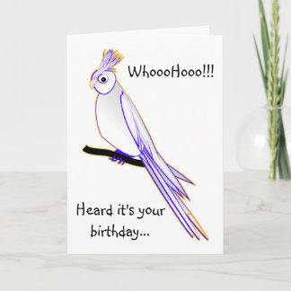 Tarjeta Cockatiel torpe