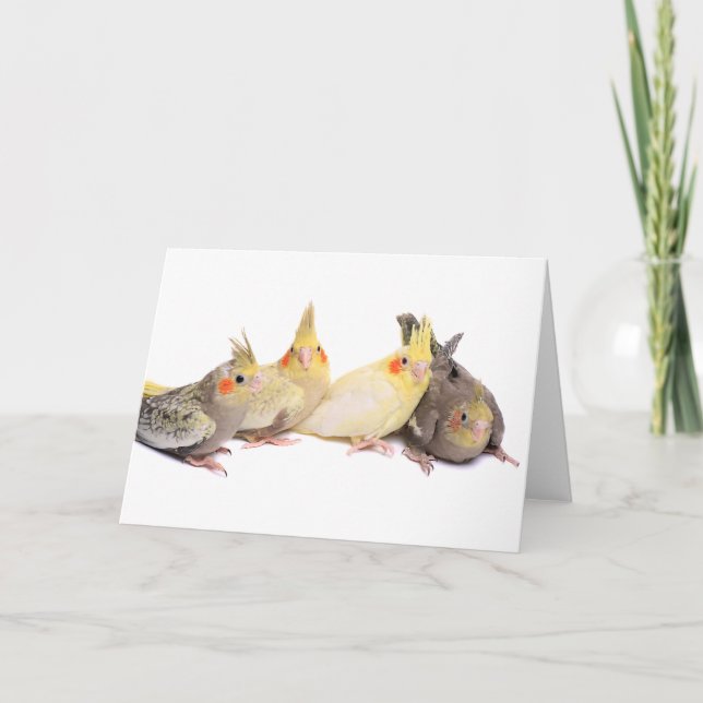 Tarjeta Cockatiels (Anverso)