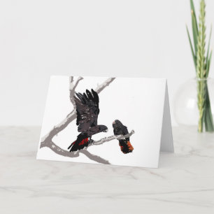 Tarjeta Cockatoo