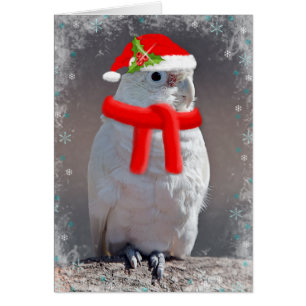Tarjeta Cockatoo para navidades (Ingresa Tu Propio