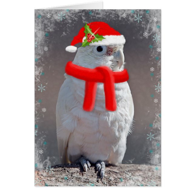 Tarjeta Cockatoo para navidades (Ingresa Tu Propio (Frente)