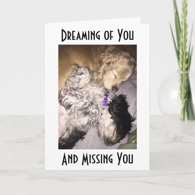 TARJETA COCKER/HAVENESE CUDDLE-MISS U EN SU CUMPLEAÑOS (Anverso)