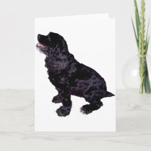 Tarjeta Cocker Spaniel