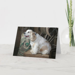 Tarjeta Cocker spaniel