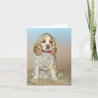 Tarjeta Cocker Spaniel