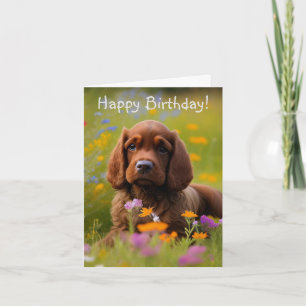 Tarjeta Cocker Spaniel
