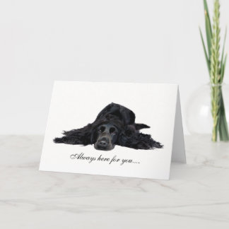 Tarjeta Cocker Spaniel