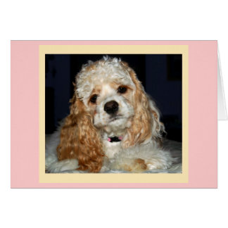 Tarjeta Cocker Spaniel