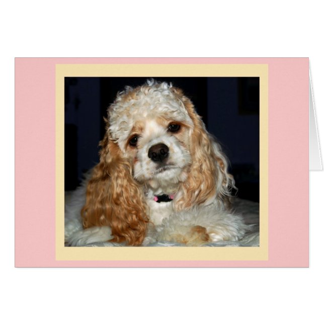 Tarjeta Cocker Spaniel (Anverso (Horizontal))