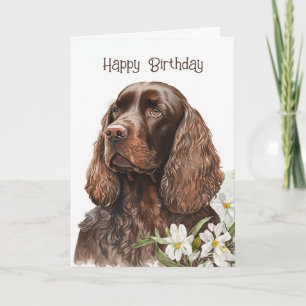 Tarjeta Cocker Spaniel de chocolate de cumpleaños