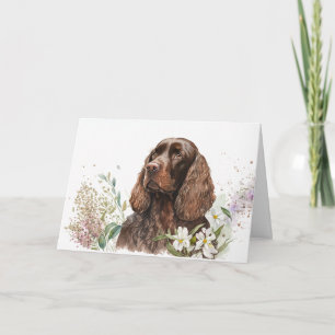 Tarjeta Cocker Spaniel de chocolate de cumpleaños